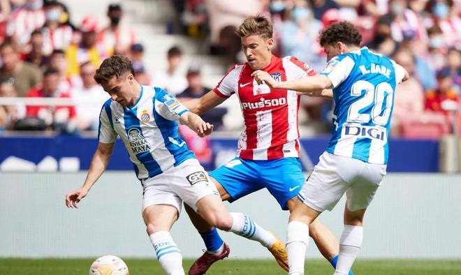 巧世界杯美 巧世界杯美